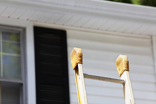 Best Historical Building Siding Restoration  in Homestead Valley, CA